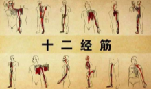 四季养生堂—百病由筋生